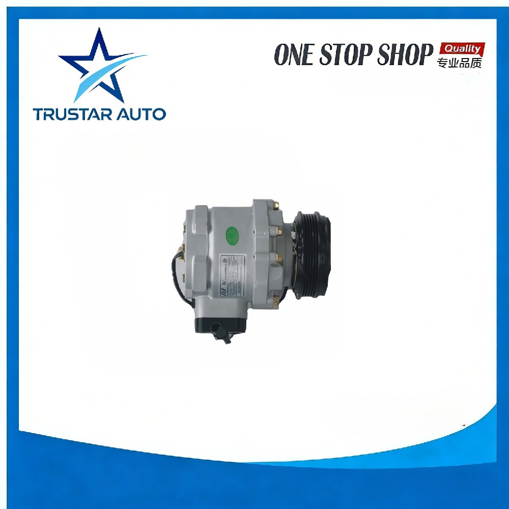 A/C compressor Assy for BYD F3 F3-8103010