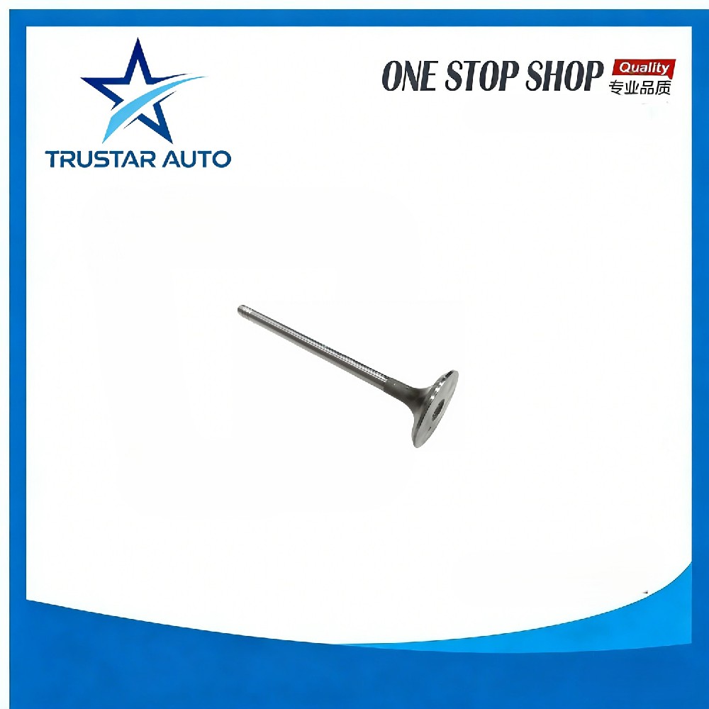 intake valve 477F-1007011 for CHERY J15