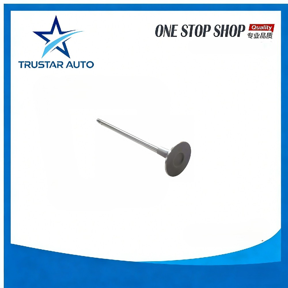 exhaust valve 477F-1007012 for CHERY J15