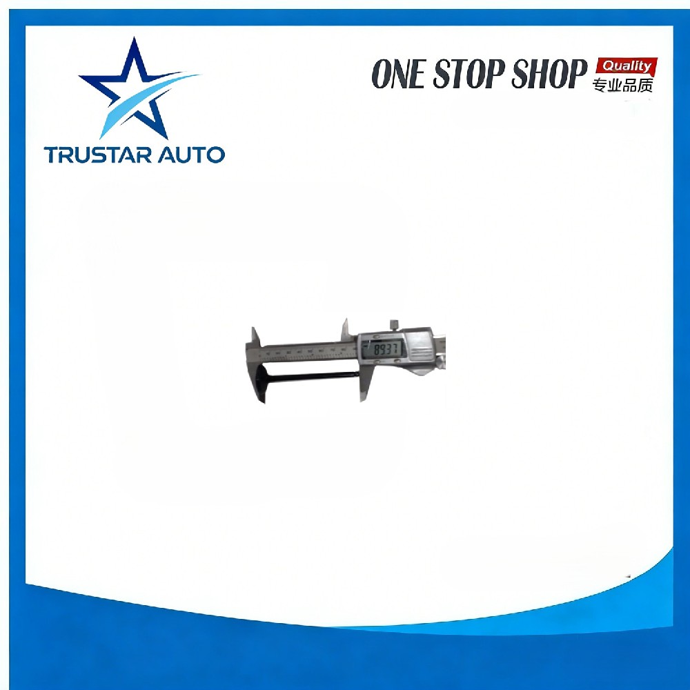 371QA-1003021 INTAKE VALVE for BYD F0