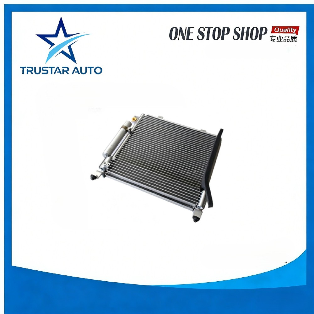 Condenser Assy CV6107-1000 for CHANA BENNI
