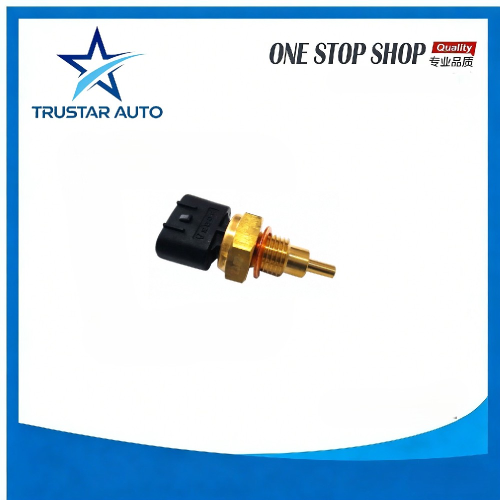 Water Temperature Sensor CV6009-1700 for CHANA BENNI