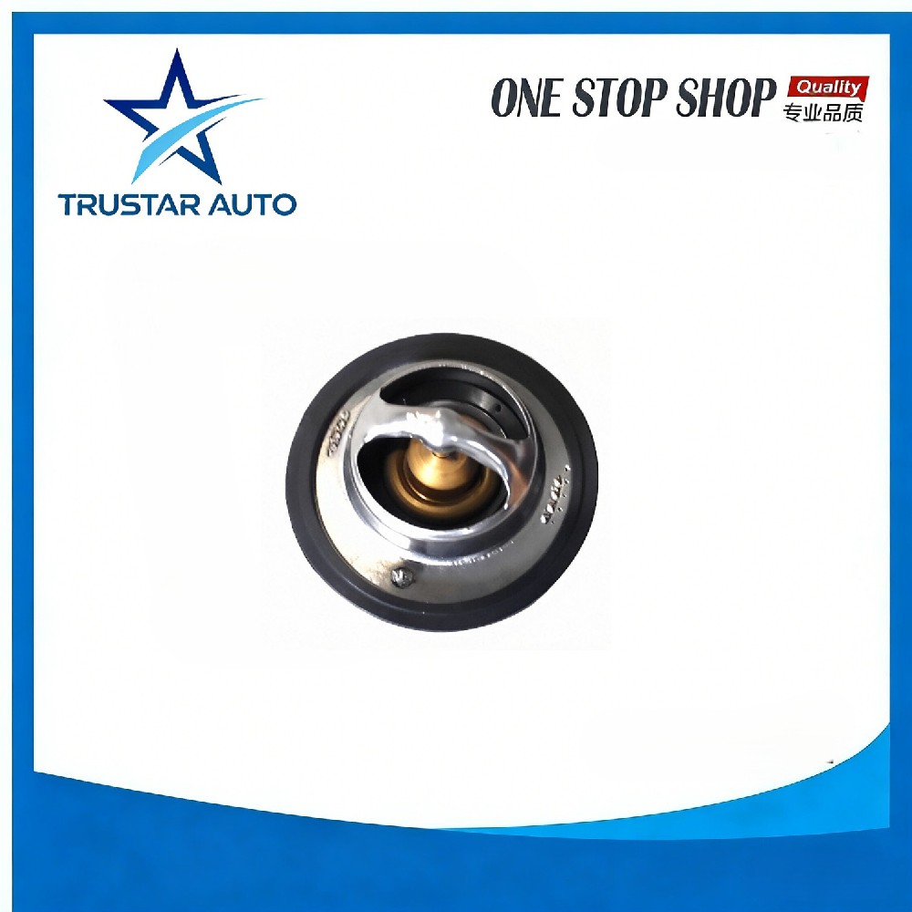 Thermostat assy CV6002-2300 for CHANA BENNI