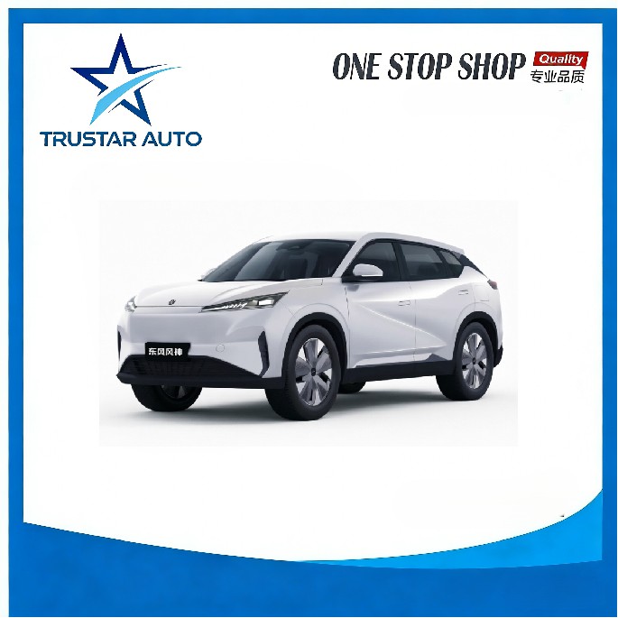 DFM Aeolus Auto Parts