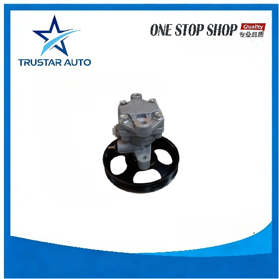 Power steering pump assy F33407010 for BYD
