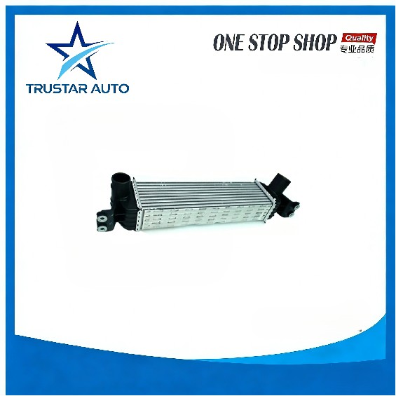 INTERCOOLER C00016655 for MAXUS G10