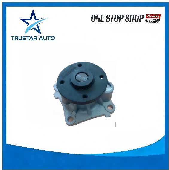 Water Pump for JAC J3 1041100GG010